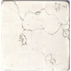 Antik Marmor 1 cm Beige 10x10x1 cm getrommelt Antik Marmor 1 cm Beige 10x10x1 cm getrommelt
