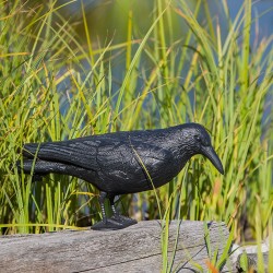 Heissner Teichfigur "Krähe" 001108-00 Heissner Teichfigur "Krähe" 001108-00