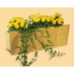 Skan Holz Blumenkasten Skan Holz Blumenkasten