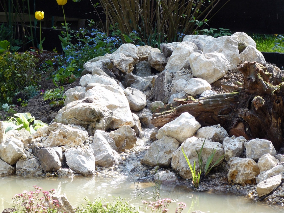 Idylle pur ein schicker Teich im kleinen Garten!