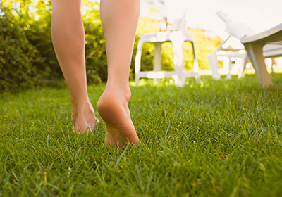 Ab ins Grüne - Tipps für einen schönen Rasen